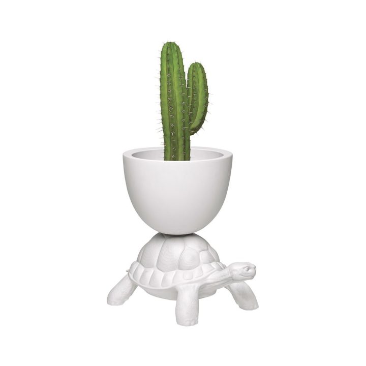 Qeeboo Turtle Carry portapiante e cooler bianco