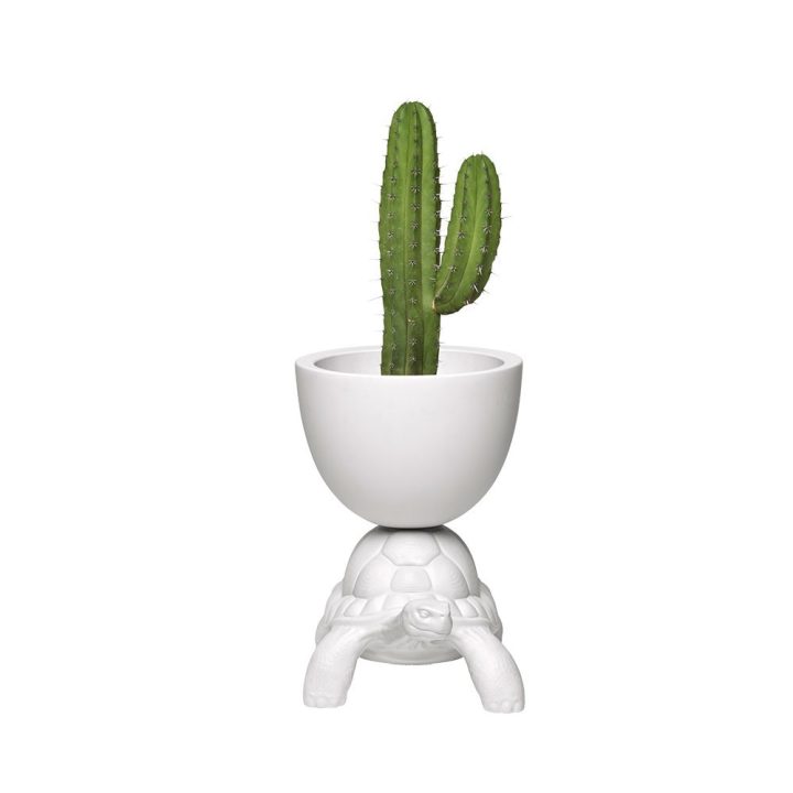 Qeeboo Turtle Carry portapiante e cooler bianco