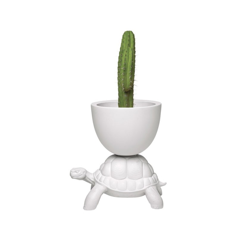 Turtle Carry Planter and Champagne Cooler