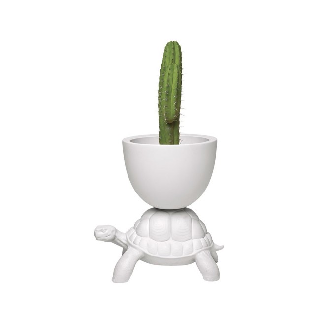 Turtle Carry Planter and Champagne Cooler