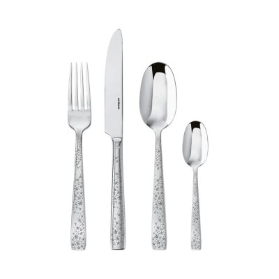 SERVIZIO 24PZ MONOBLOCCO COMETA INOX 2