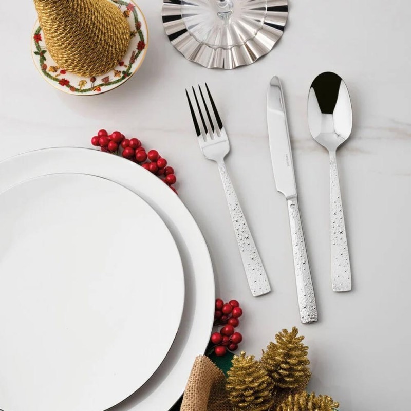 SERVIZIO 24PZ MONOBLOCCO COMETA INOX