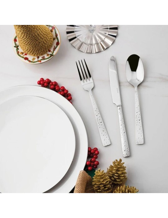 SERVIZIO 24PZ MONOBLOCCO COMETA INOX