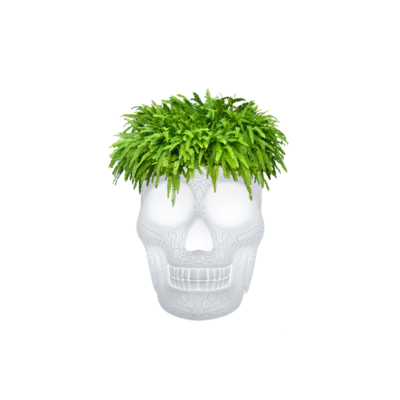 Fioriera / Secchio Champagne LED Mexico Qeeboo – Design... 2