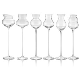 Ivv Set di 6 calici da degustazione I Distillati assortiti