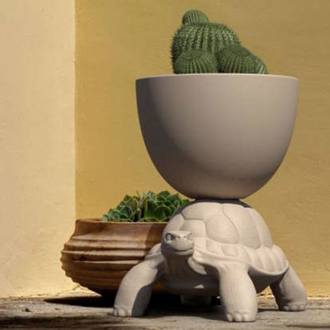 Turtle Carry Planter and Champagne Cooler