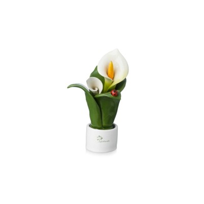 PIANTA NAT. 2 FIORI CALLA