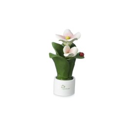 Gli Alberelli Pianta Natura 2 fiori rosa 16 cm