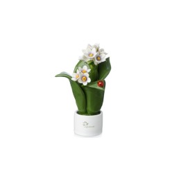 Gli Alberelli Pianta Natura giacinto 2 fiori 16 cm