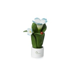Gli Alberelli Pianta Natura elleboro 16 cm