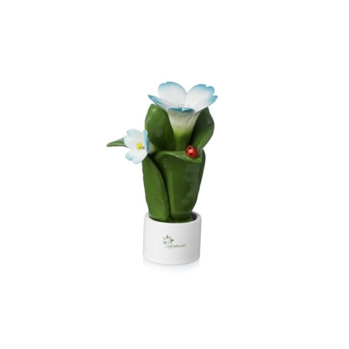 Gli Alberelli Pianta Natura elleboro 16 cm