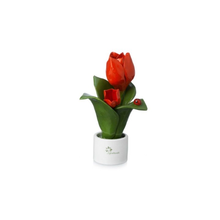 Gli Alberelli Pianta Natura tulipano 2 fiori 16 cm