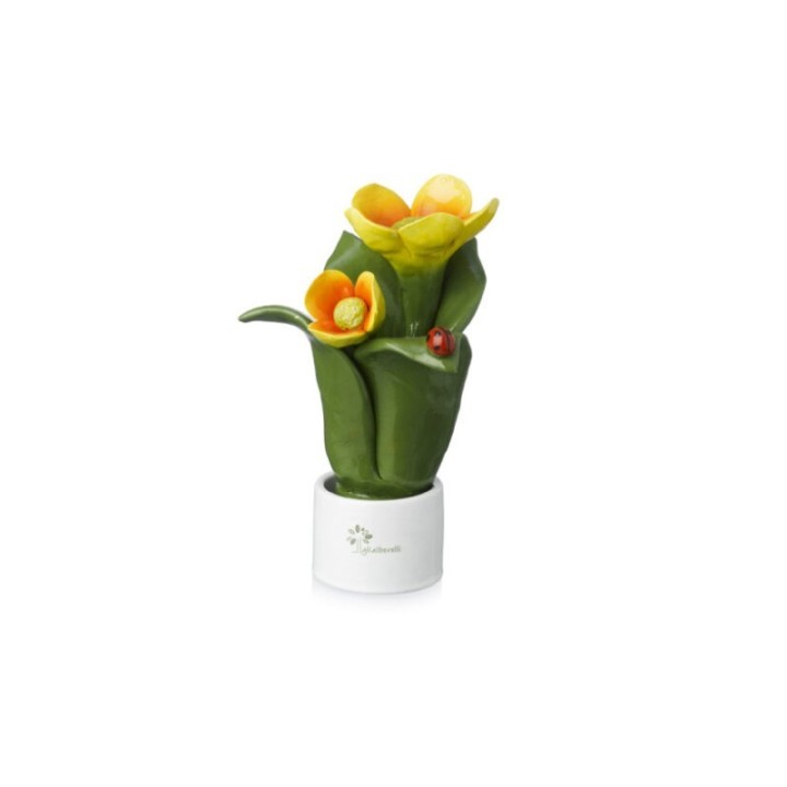 Gli Alberelli Pianta Natura 2 fiori arancioni 16 cm