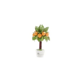 Gli Alberelli Albero mignon di arance 11 cm