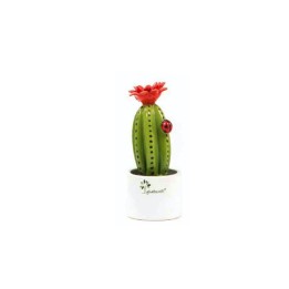 Gli Alberelli Pianta grassa mignon cactus 14 cm