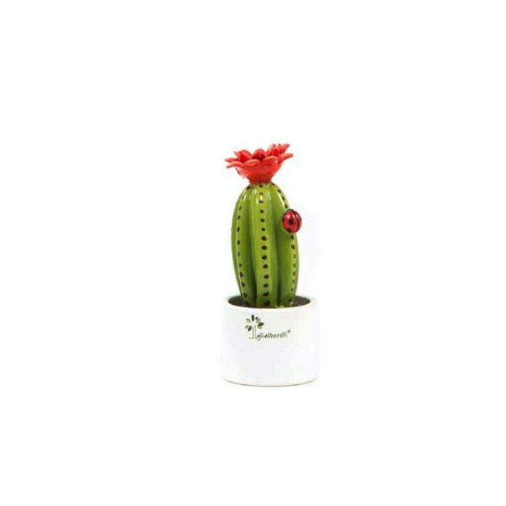 Gli Alberelli Pianta grassa mignon cactus 14 cm
