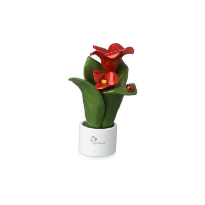 PIANTA NAT. 2 FIORI IBISCUS