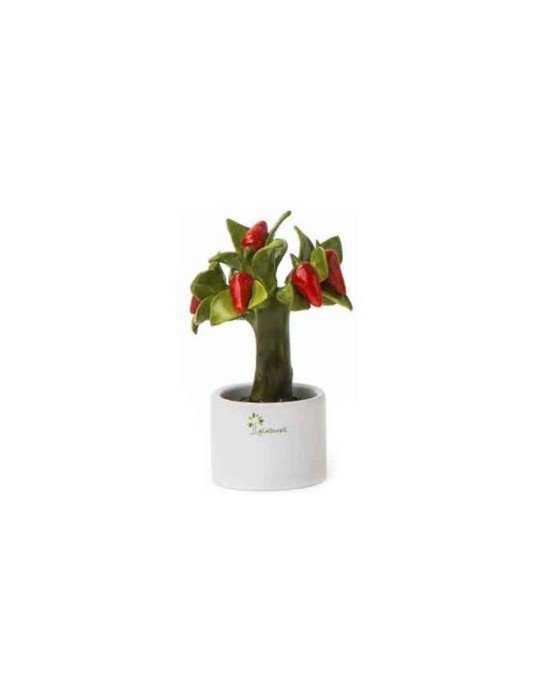 ALBERELLO ALLEGRO PEPERONCINO