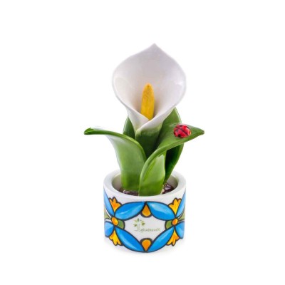 PIANTINA NATURA MIGNON CALLA