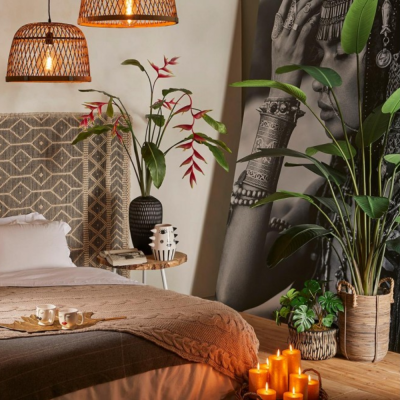 STRELITZIA CHIC C/VASO H245 2