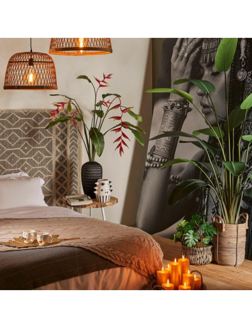 STRELITZIA CHIC C/VASO H245