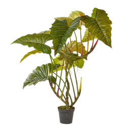 EDG Alocasia artificiale con vaso alta 177 cm