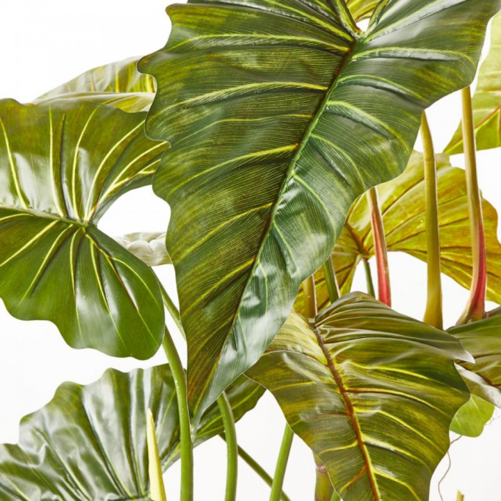 EDG Alocasia artificiale con vaso alta 177 cm