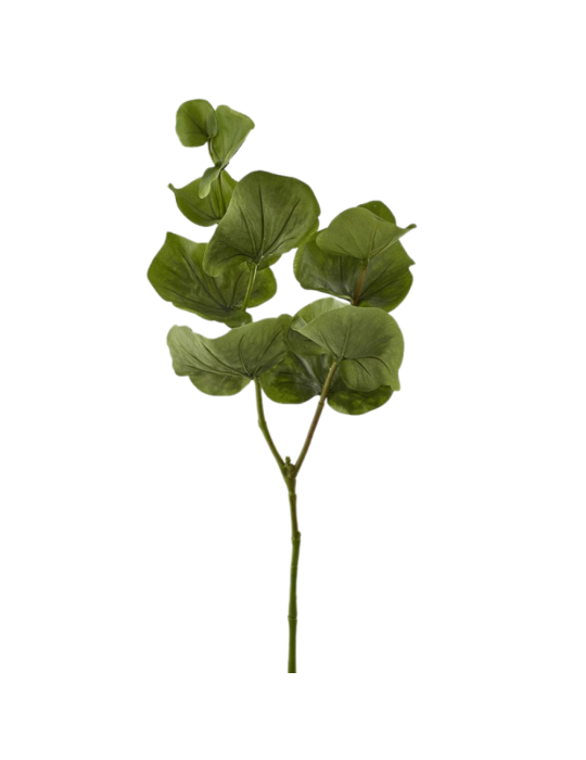 FOGLIA BEGONIA RAMO X10 H.80