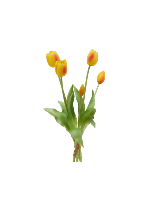TULIPANO GOMM OLIS MZ5PZ H40 YELLOW/RED