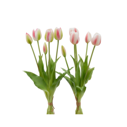 EDG 5 tulipani Olis artificiali bianchi e rosa 40 cm