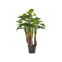 EDG Filodendro artificiale con vaso alto 120 cm
