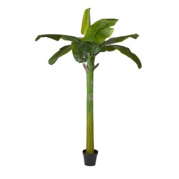 EDG Enzo De Gasperi Banano artificiale con vaso alto 185 cm