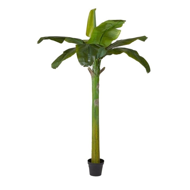 EDG Enzo De Gasperi Banano artificiale con vaso alto 185 cm