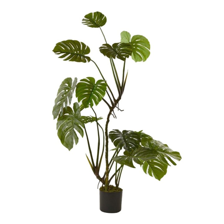 EDG Monstera artificiale con vaso alta 155 cm