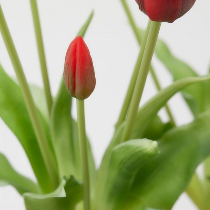 EDG Enzo De Gasperi 5 tulipani Olis artificiali rossi 40 cm