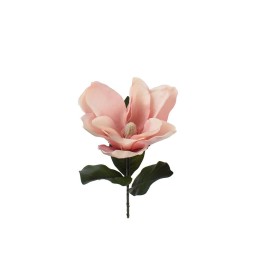 Enzo De Gasperi Magnolia Ramo