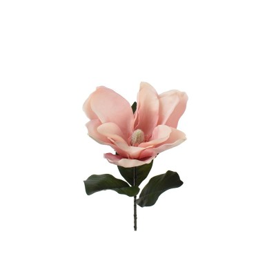 Enzo De Gasperi Magnolia Ramo