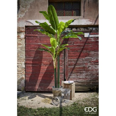 Pianta Artificiale H160 Cm Banano Con Vaso Verde