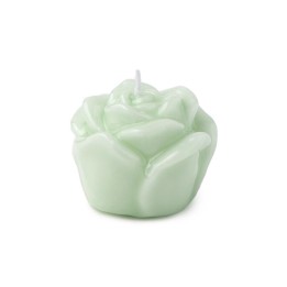 Hervit Creations Box 6 candele a rosa verdi Ø 4,5 cm