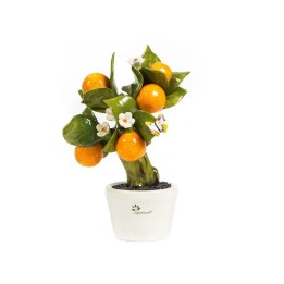 Gli Alberelli Albero medio di arance 26 cm