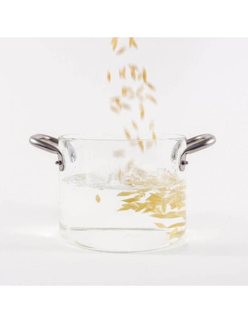 KNPRO PENTOLA VETRO CM 24