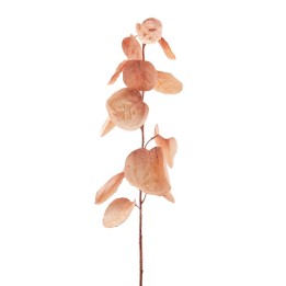 EDG Enzo De Gasperi Stelo di cotinus color rame alto 78 cm