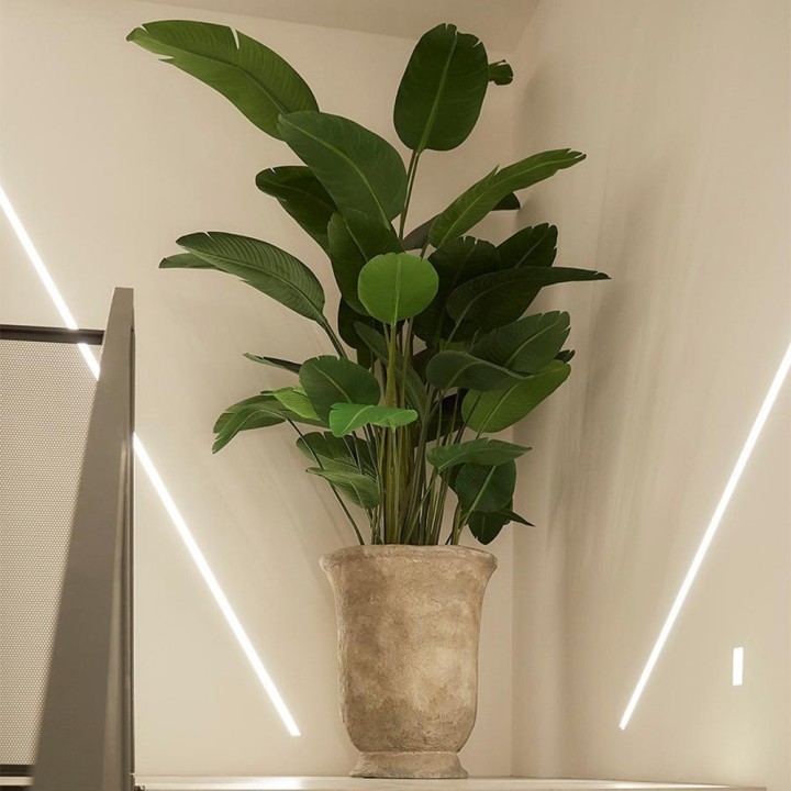 EDG Strelitzia artificiale Chic con vaso alta 150 cm