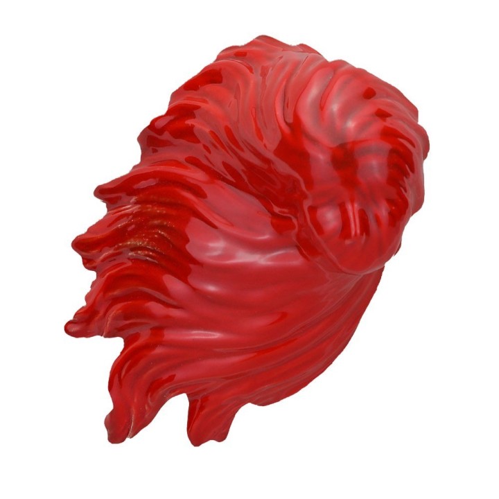 Macrì Bella 'Mbriana rossa 16,5 cm