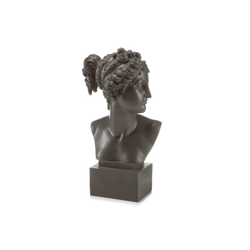 Palais Royal Busto Venus grey H18cm