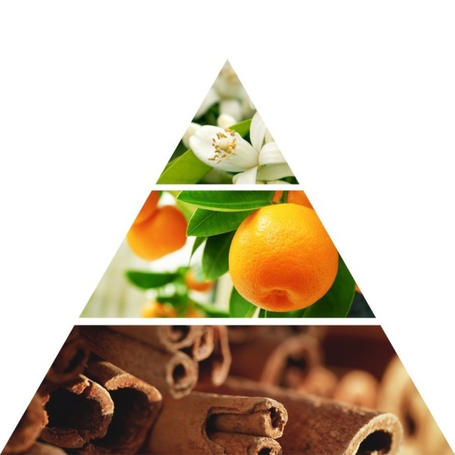 Diffusore Arancio Cannella 500 ml di Dr....