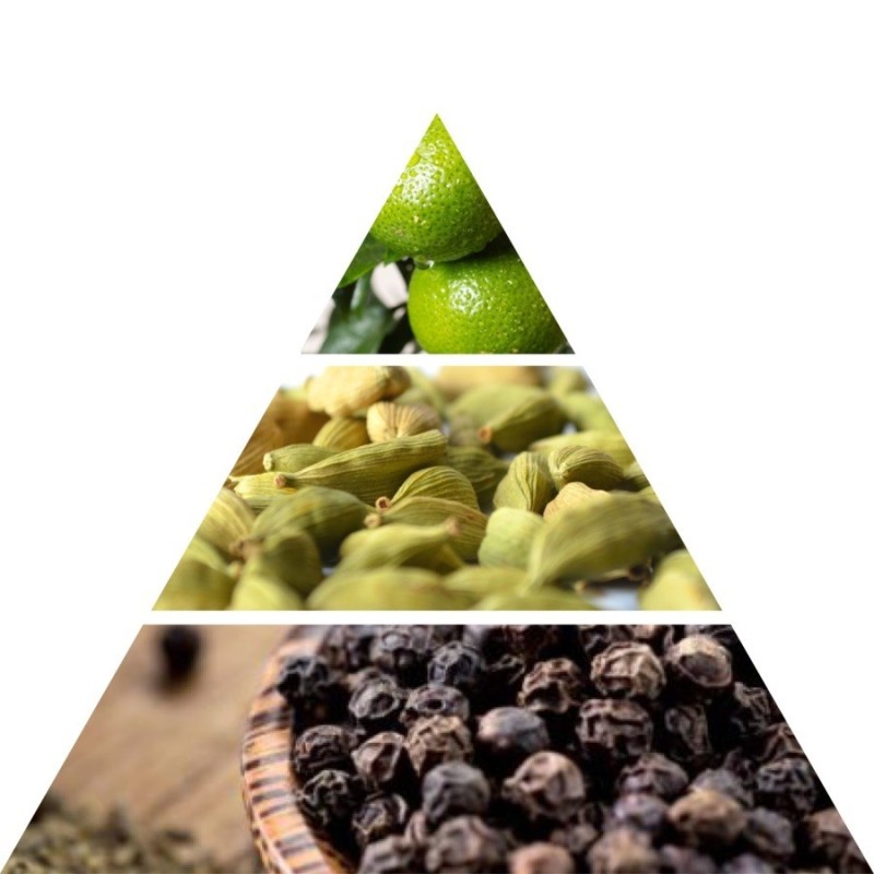 Profumatore d’Ambiente Chinotto Pepe 1250 g –...