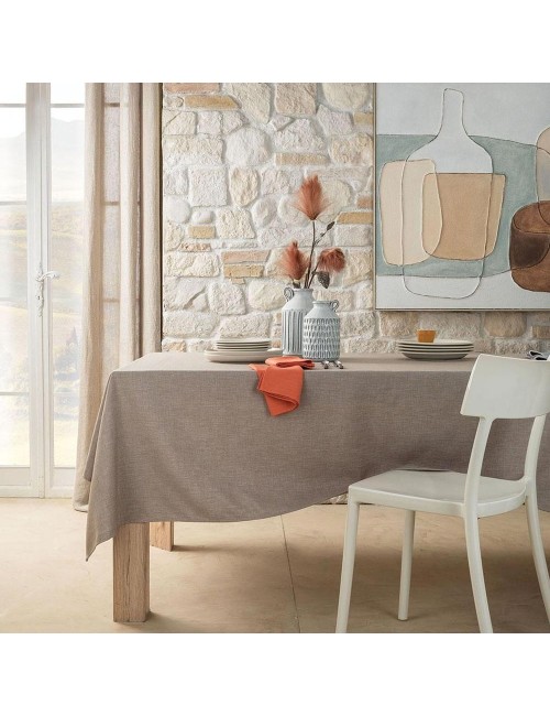 ZENZERO-TOVAGLIA ANTIMACCHIA 155X270