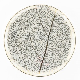 Weissestal Servizio di piatti Onix White 39 pezzi