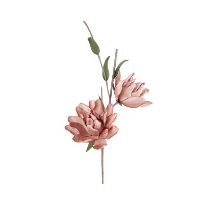 MAGNOLIA LILIIFLORA ROSA
